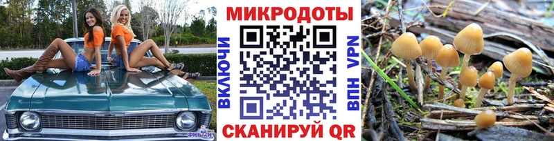 Псилоцибиновые грибы Psilocybe цена Старая Русса