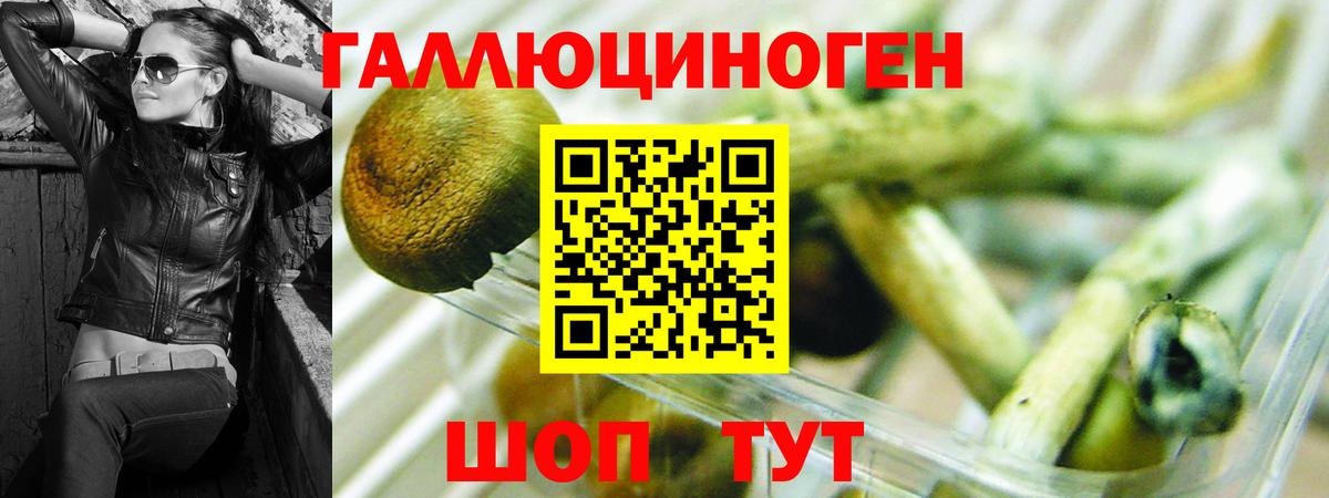 Старая Русса  Галлюциногенные грибы Cubensis  где найти наркотики  Галлюциногенные грибы GOLDEN TEACHER  Вход с VPN 